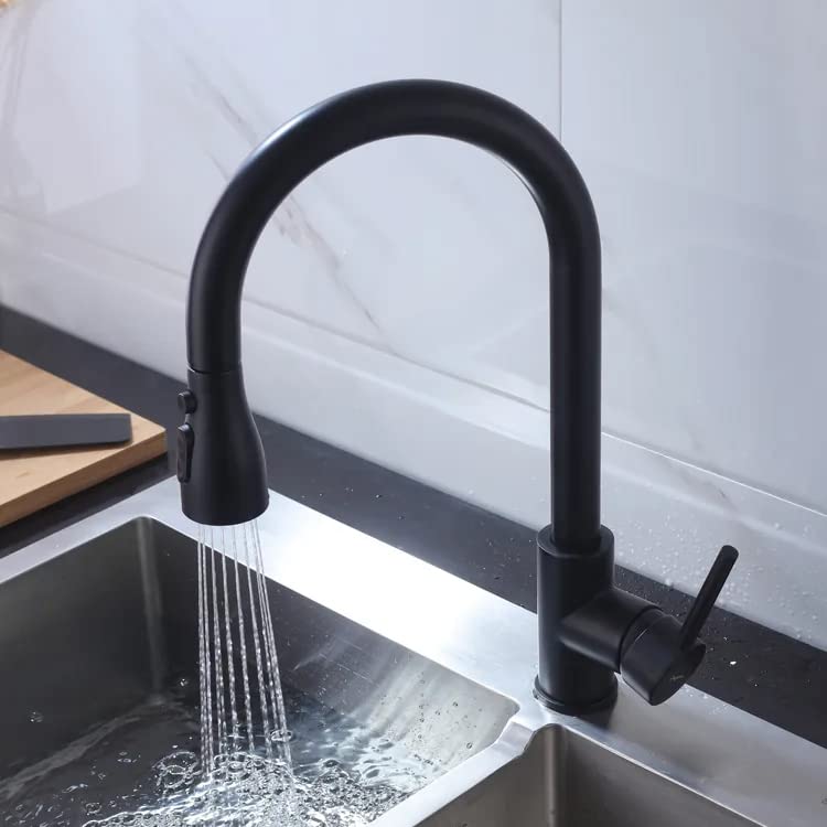 Aquieen Pull Out Kitchen Sink Mixer with Connecting Hoses (Classic - Black)