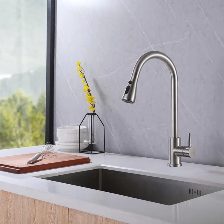 Aquieen Pull Out Kitchen Sink Mixer with Connecting Hoses (Classic Pull Out - Brushed SS Matte)