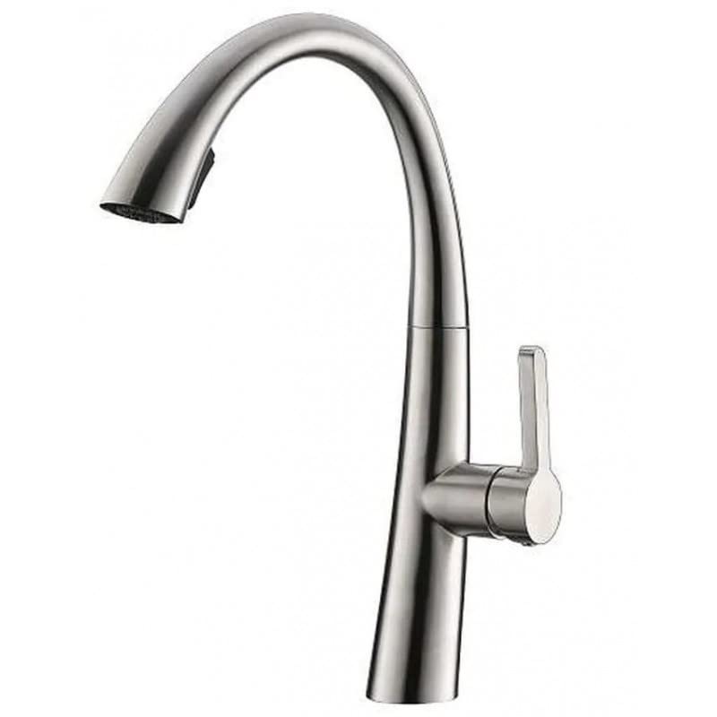 Aquieen Pull Out Kitchen Sink Mixer with Connecting Hoses (Arc - Brushed Matte)