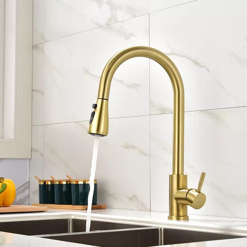 Aquieen Pull Out Kitchen Sink Mixer with Connecting Hoses (Pull Out Kitchen Mixer Fusion) (Classic - Gold)