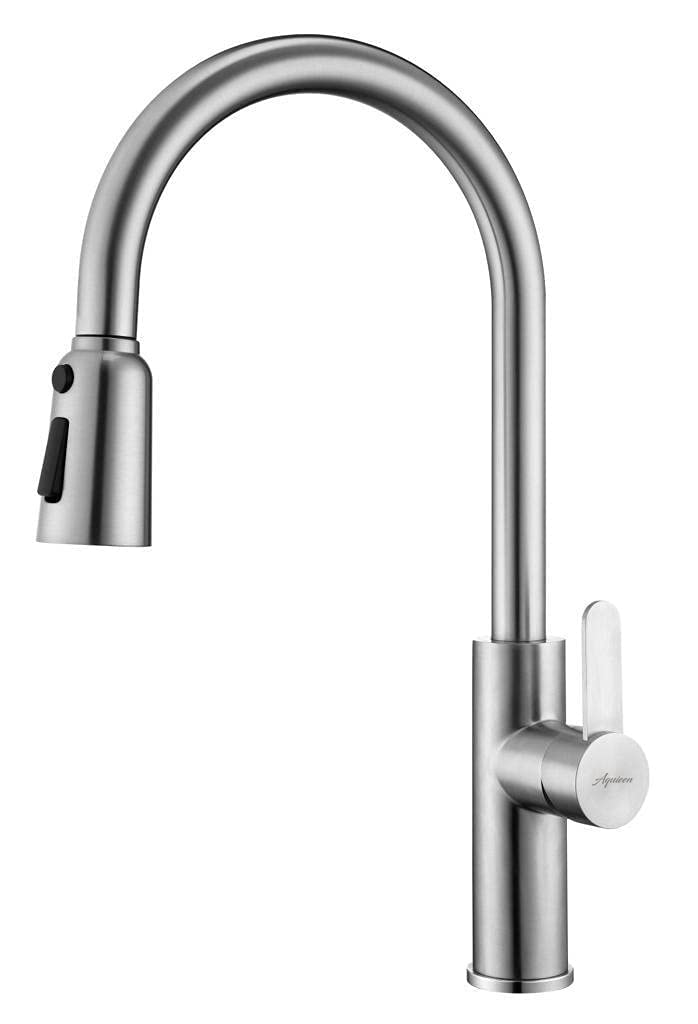 Aquieen Pull Out Kitchen Sink Mixer with Connecting Hoses (Pull Out Kitchen Mixer Fusion) (Fusion Ext - Brushed Matte)