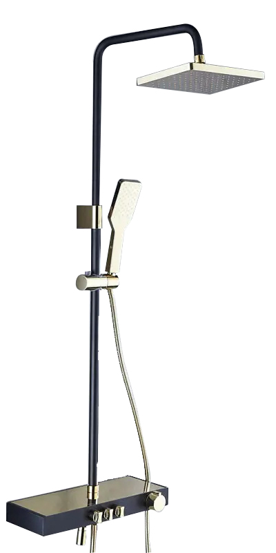 Aquieen Thermostatic Shower Set SS 304 (Black+Gold)