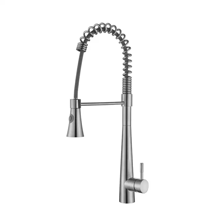 Aquieen Table Mounted Spring Style - Kitchen Sink Mixer with spout (SS Matte)Aquieen Table Mounted Spring Style - Kitchen Sink Mixer with spout (SS Matte)