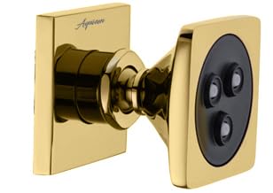 Aquieen Wall Mounted 3" Rain Body Shower Jets Brass ( Wave Body Jet Square - Gold)
